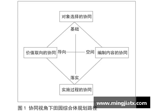 菁英计划：培养未来领袖的路径